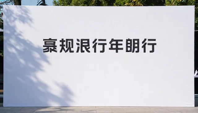 活动策划中项目类型理解偏差问题解析